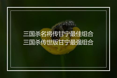 三国杀名将传甘宁最佳组合　三国杀传世版甘宁最强组合